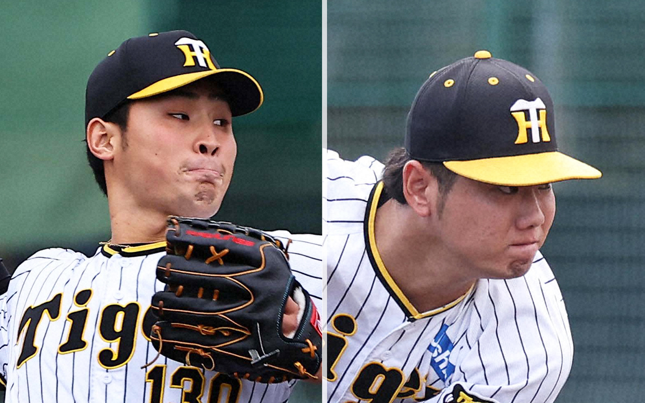 阪神佐藤蓮（左）と川原陸