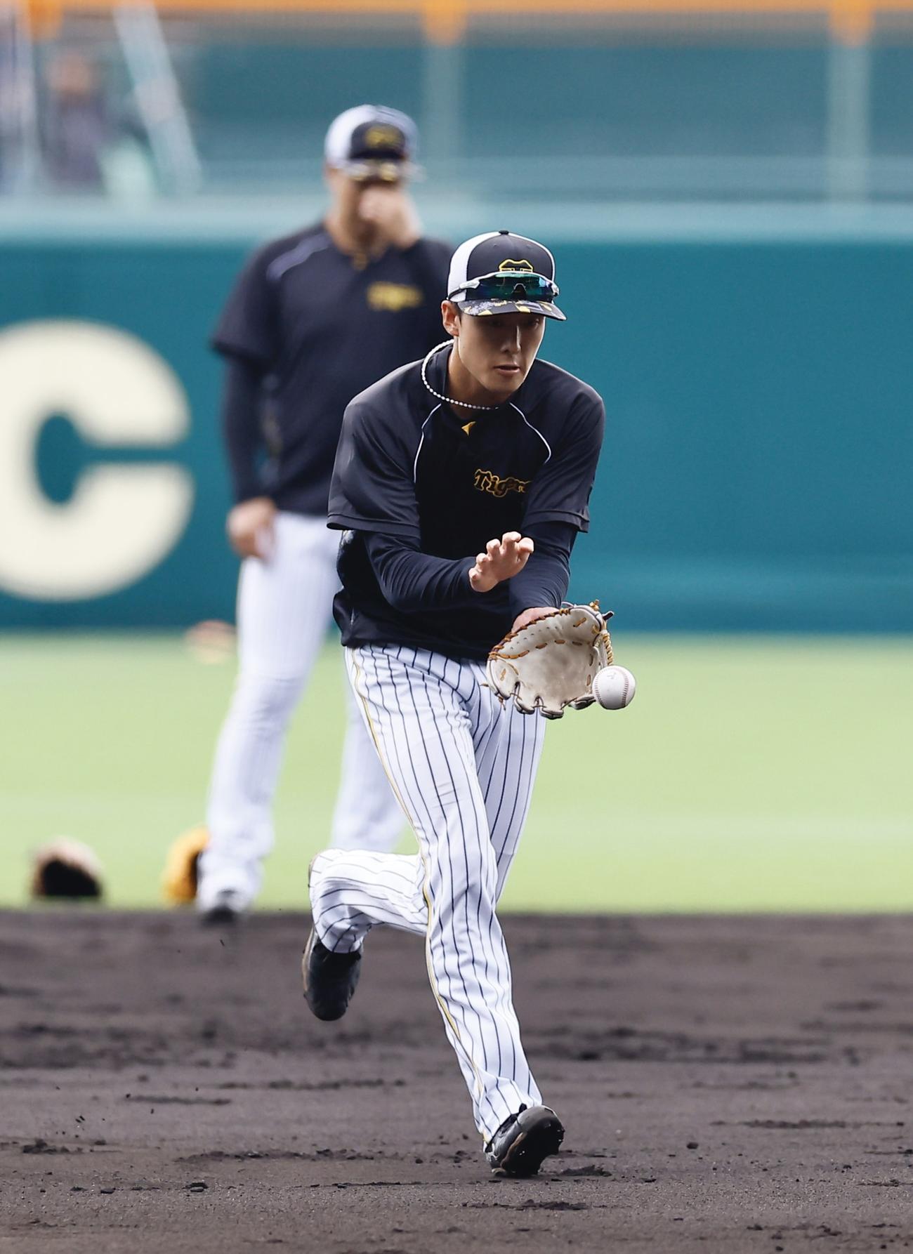 阪神対DeNA　一軍に合流し、守備練習する阪神小幡（撮影・藤尾明華）