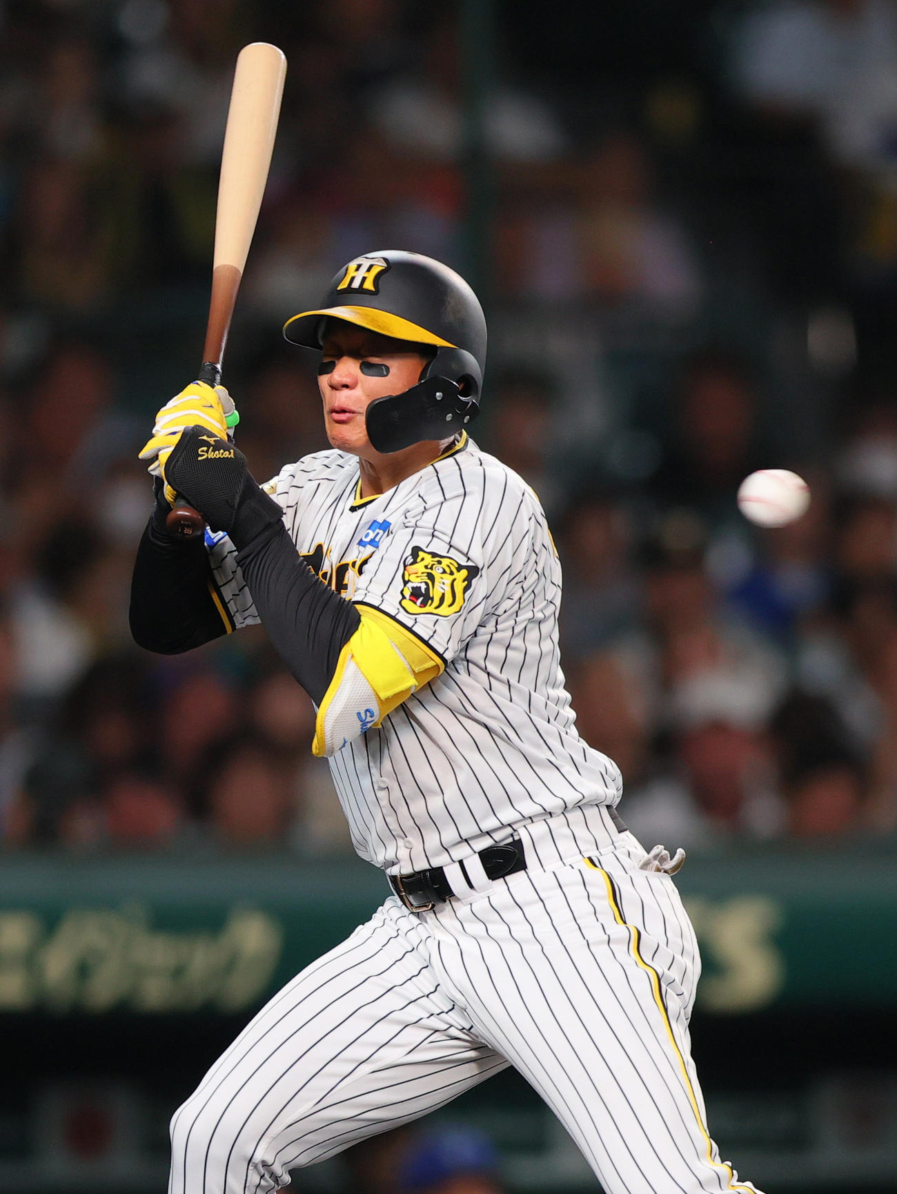 阪神対DeNA 4回裏阪神1死、森下は死球を受ける（撮影・上山淳一）