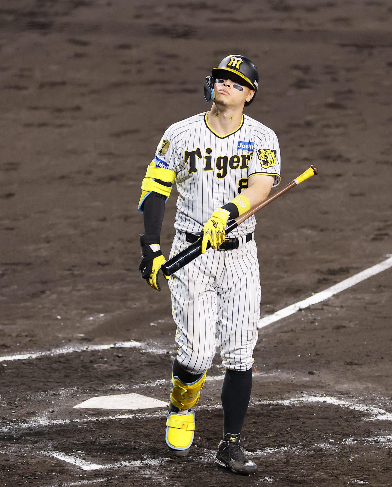 阪神対DeNA 7回裏阪神1死、三振に倒れた佐藤輝（撮影・藤尾明華）