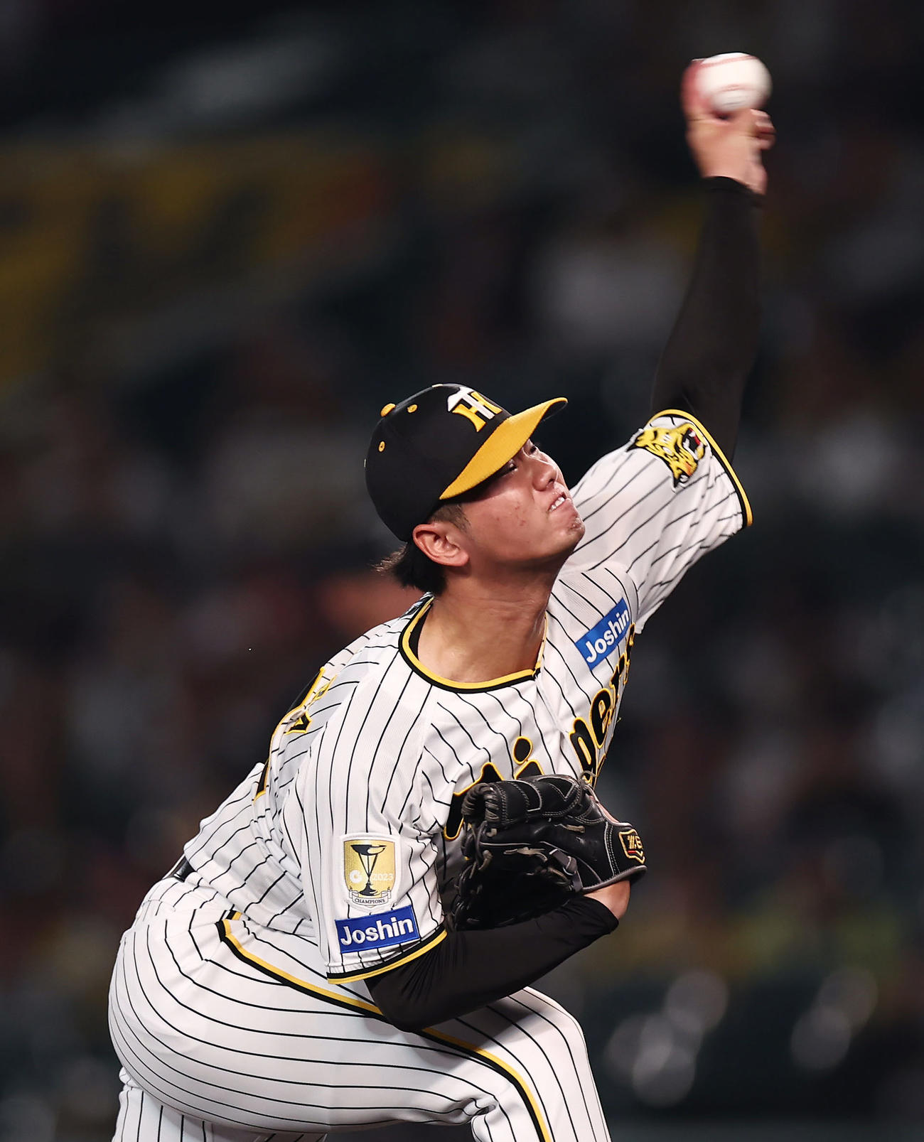 阪神対DeNA 8回表、プロ初登板で力投する阪神4番手の川原（撮影・前田充）