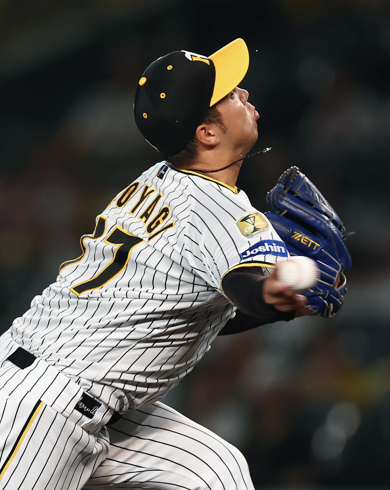 阪神対DeNA　力投する阪神先発の青柳（撮影・前田充）