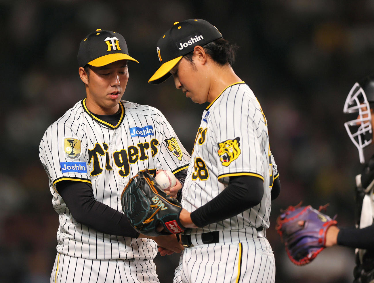 阪神対DeNA 7回表に登板した阪神佐藤蓮（右）は無失点に終え青柳から祝福を受ける（撮影・上山淳一）