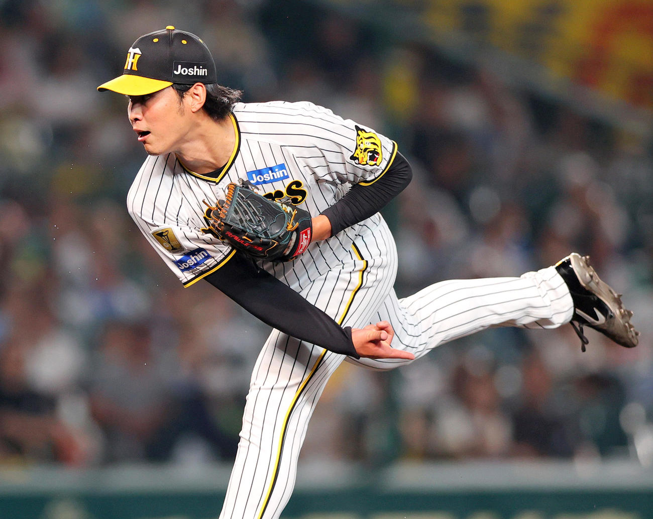 阪神対DeNA 7回表に登板する阪神佐藤蓮（撮影・上山淳一）
