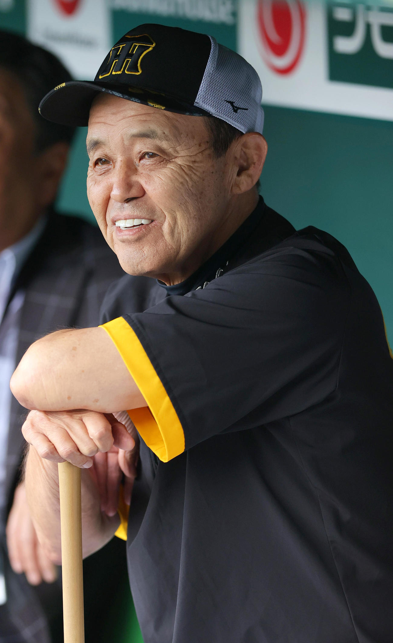 阪神対DeNA　試合前、練習を確認する阪神岡田監督（撮影・上山淳一）