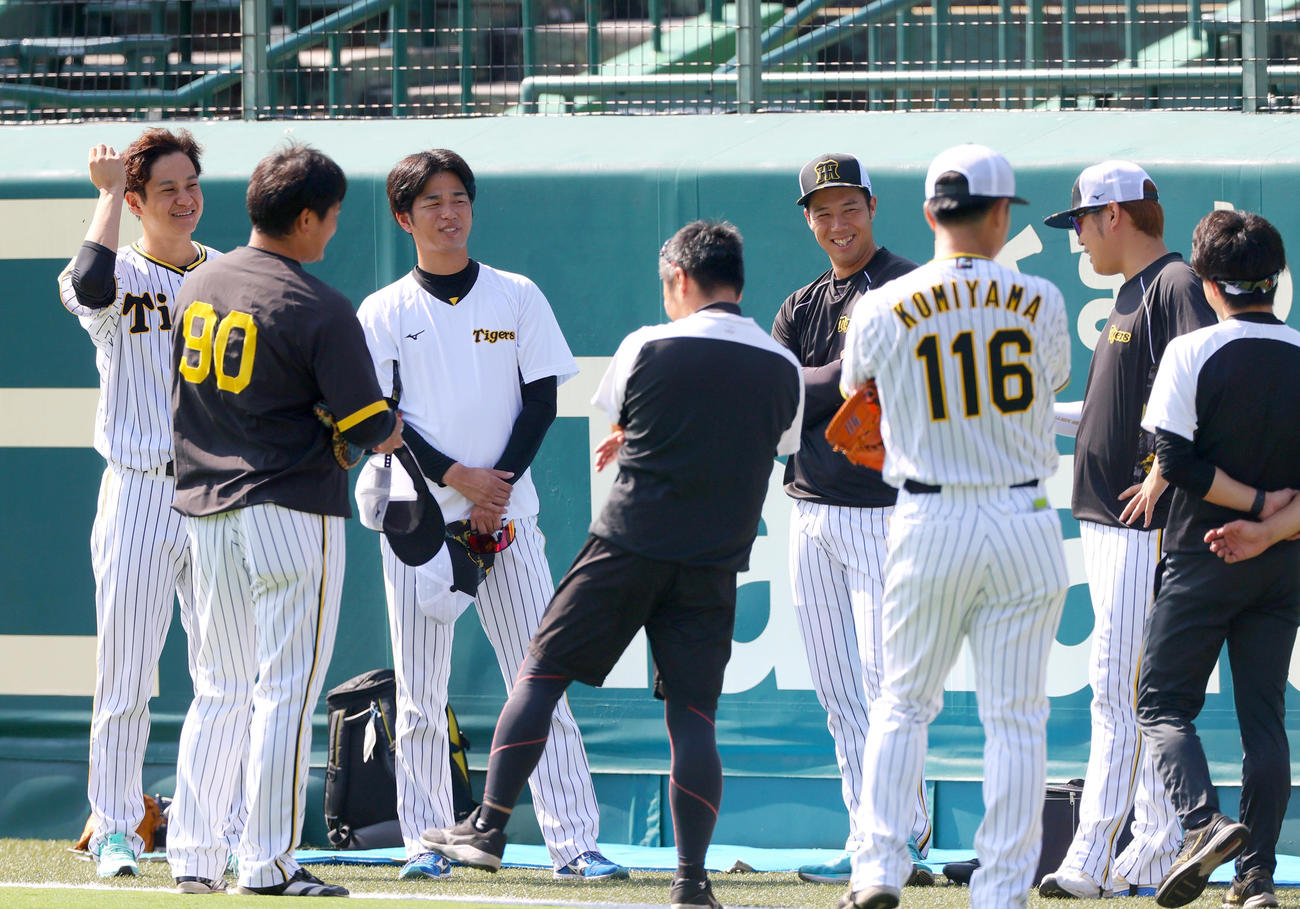 甲子園球場で指名練習に励む投手陣（撮影・上山淳一）