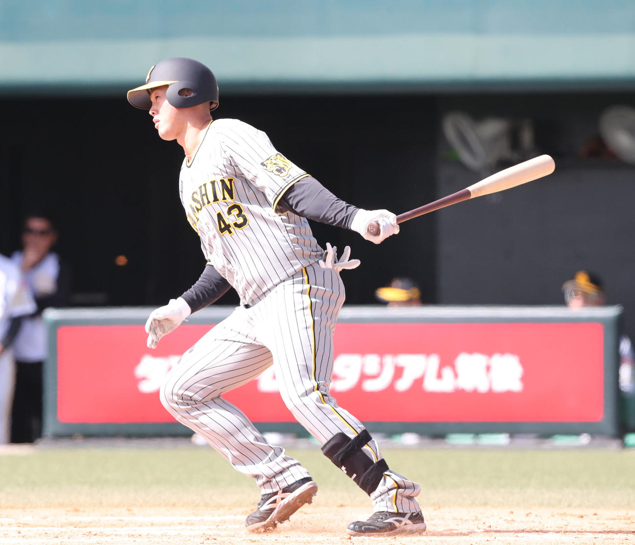 阪神高浜祐仁（2024年3月29日撮影）