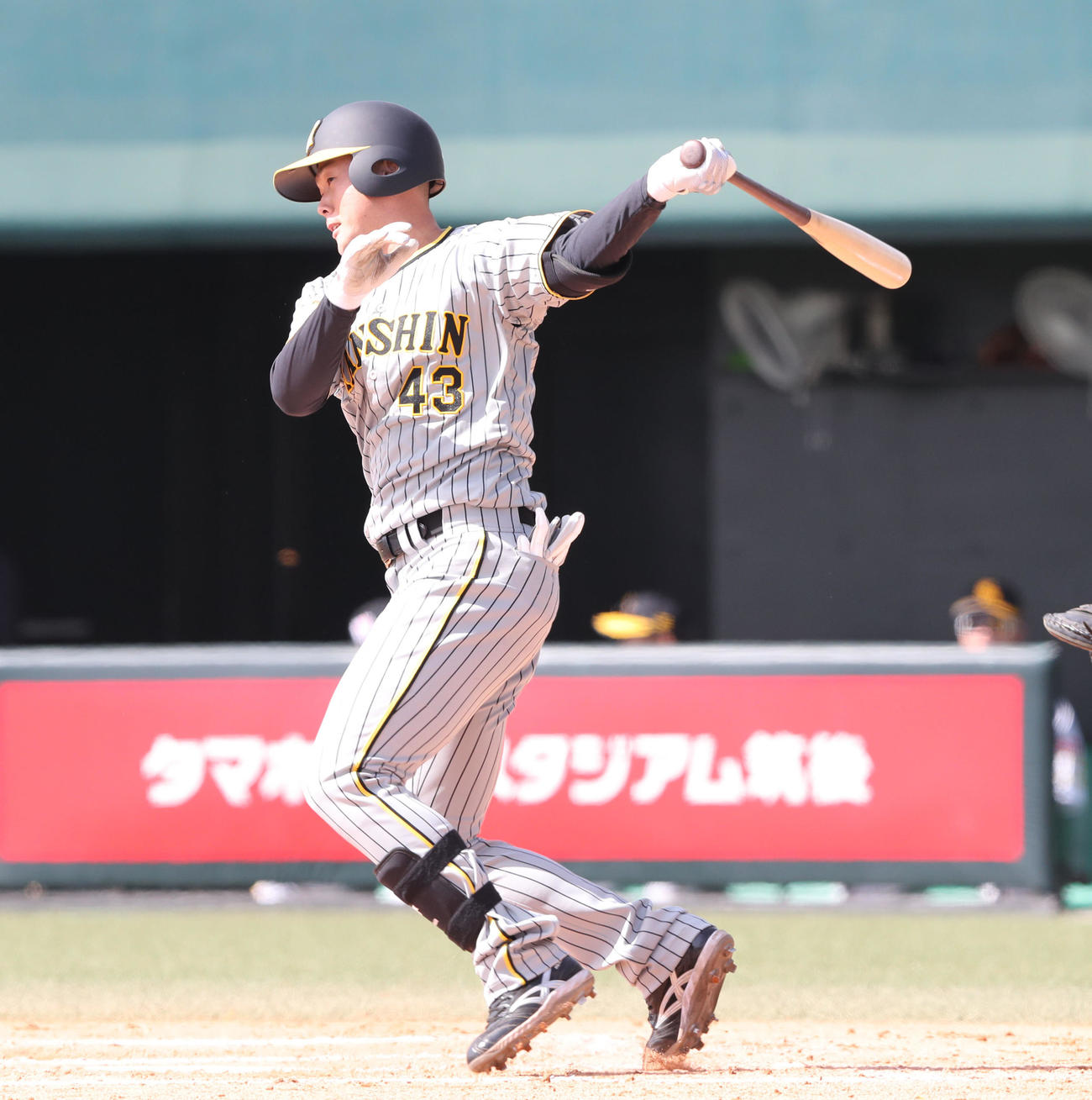 阪神高浜祐仁（2024年3月29日撮影）