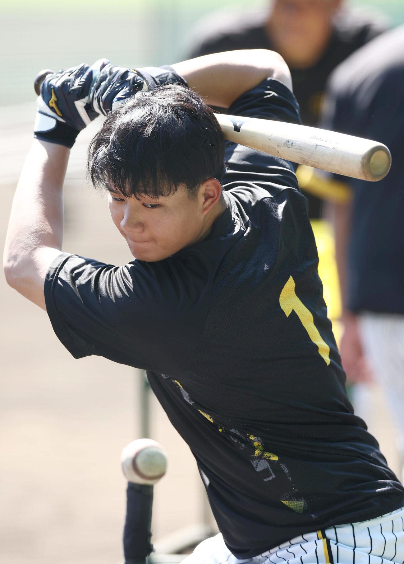 打撃練習に臨む阪神森下翔太（2024年9月26日撮影）