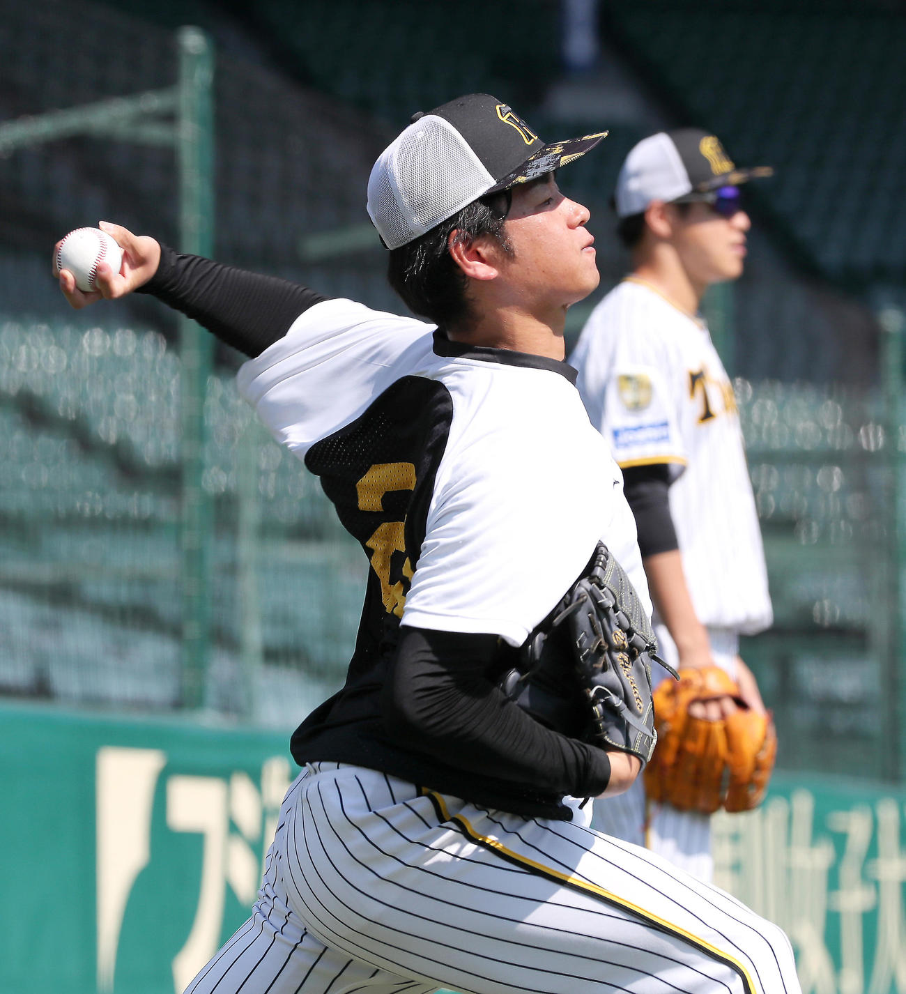 投手指名練習でキャッチボールする阪神高橋（撮影・上山淳一）