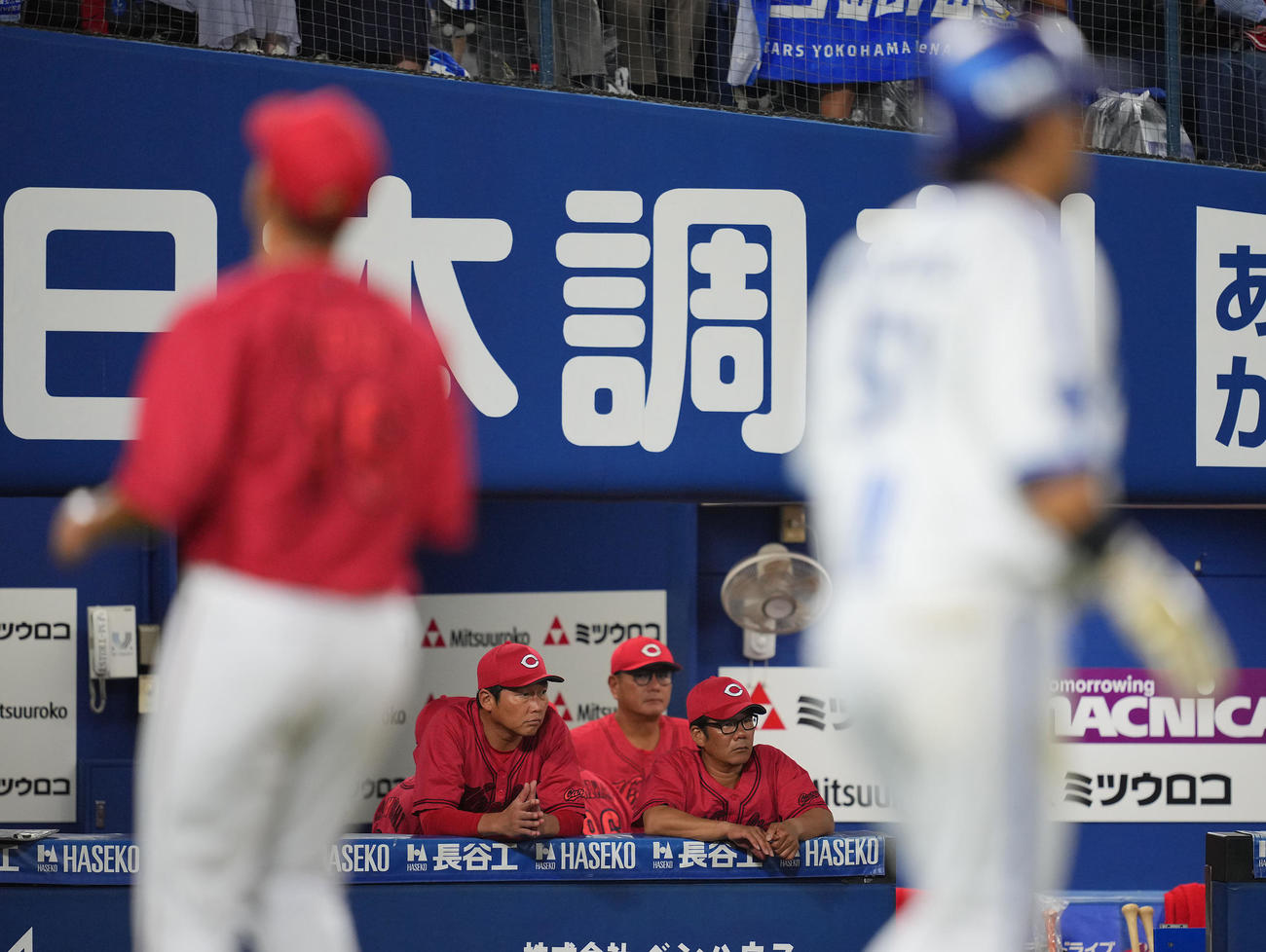 DeNA対広島　4回裏DeNA1死二、三塁、戸柱の適時打で失点し渋い表情の新井監督（中央左）（撮影・垰建太）