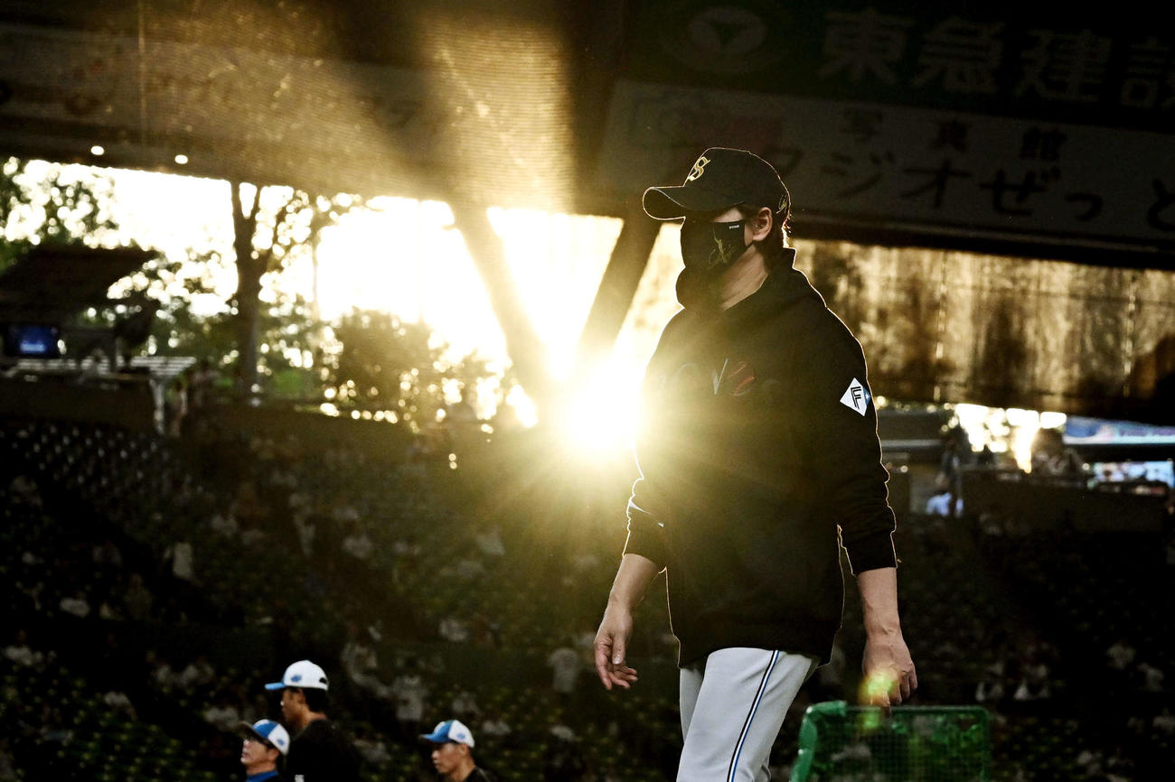 西武対日本ハム　試合前練習が終わり西日を浴びながら引き揚げる日本ハム新庄監督（撮影・滝沢徹郎）