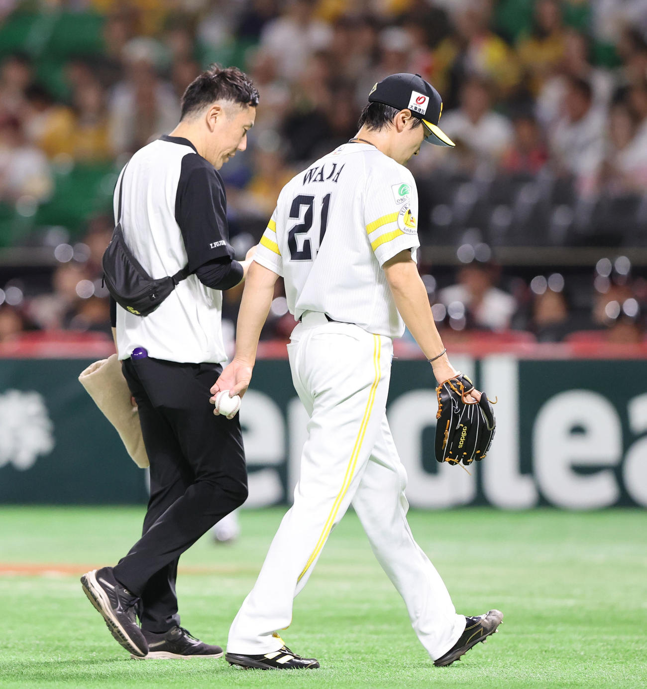 ソフトバンク対オリックス　6回表ソフトバンク1死、ベンチに下がる和田（撮影・鬼束羽瑠菜）