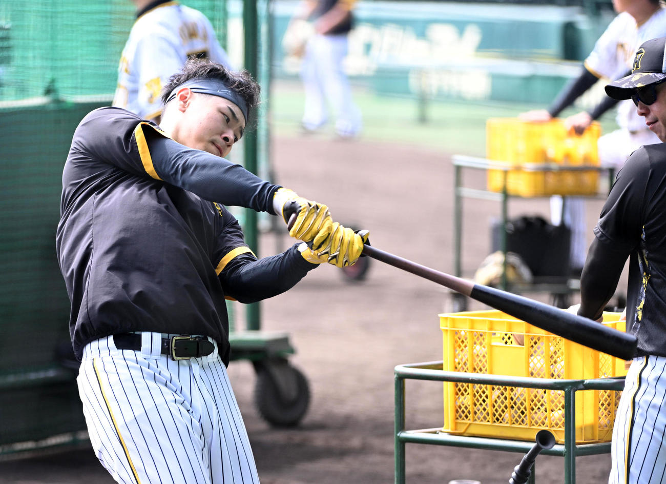 ティー打撃を行う佐藤輝（撮影・前岡正明）
