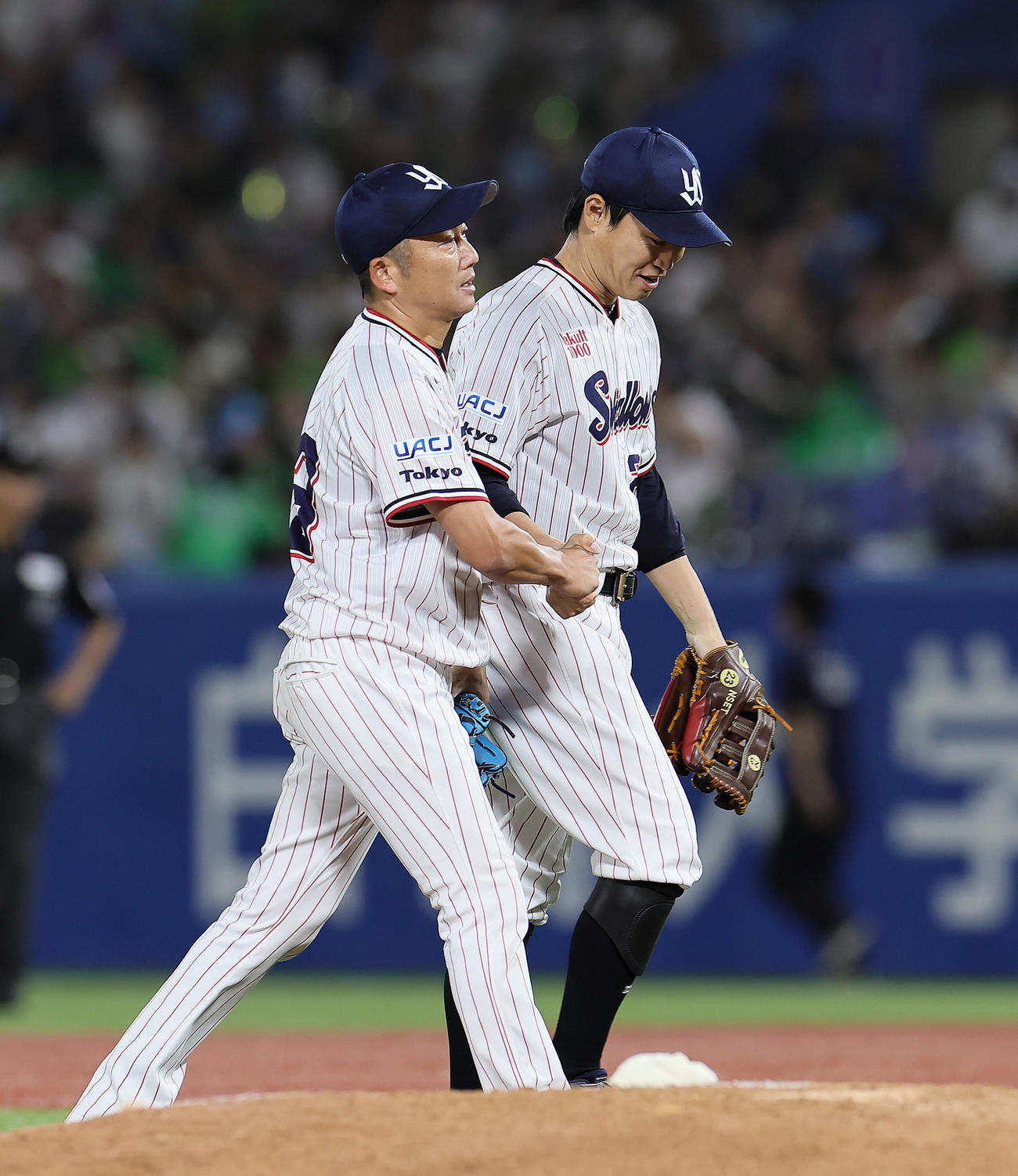 ヤクルト対広島　7回から登板したヤクルト石川（左）と握手を交わす青木（撮影・足立雅史）