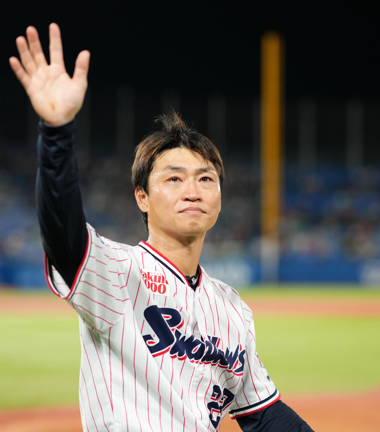 ヤクルト対広島　声援に応えるヤクルト青木（撮影・横山健太）