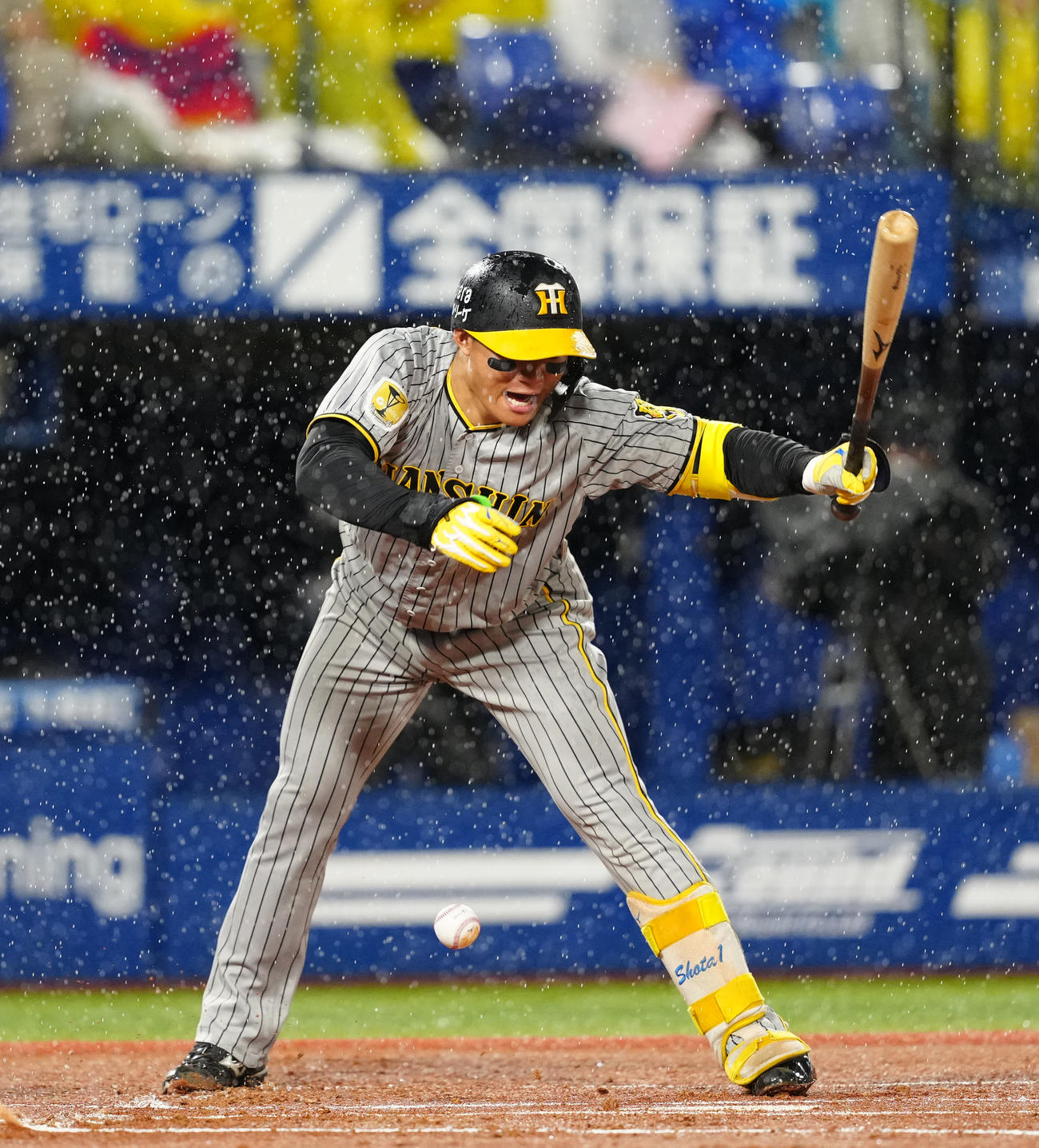 DeNA対阪神　1回表阪神1死一塁、死球を受けた森下（撮影・江口和貴）