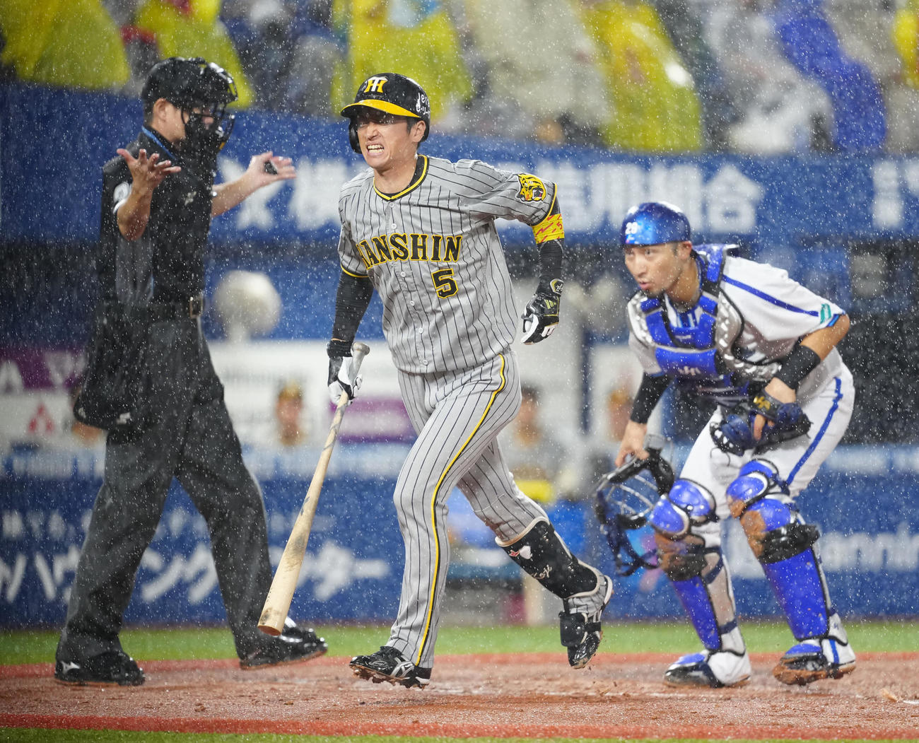 DeNA対阪神　2回表阪神2死二、三塁、死球を受けた近本（撮影・江口和貴）