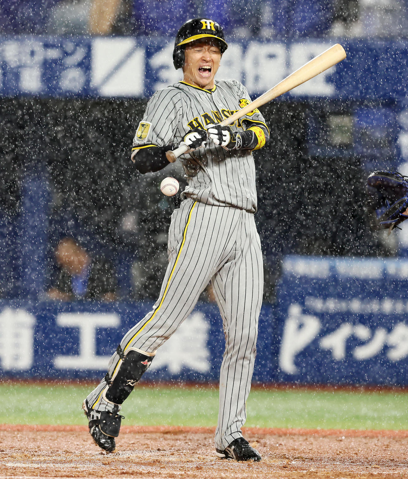 DeNA対阪神　2回表阪神2死二、三塁、死球を受ける近本（撮影・加藤哉）