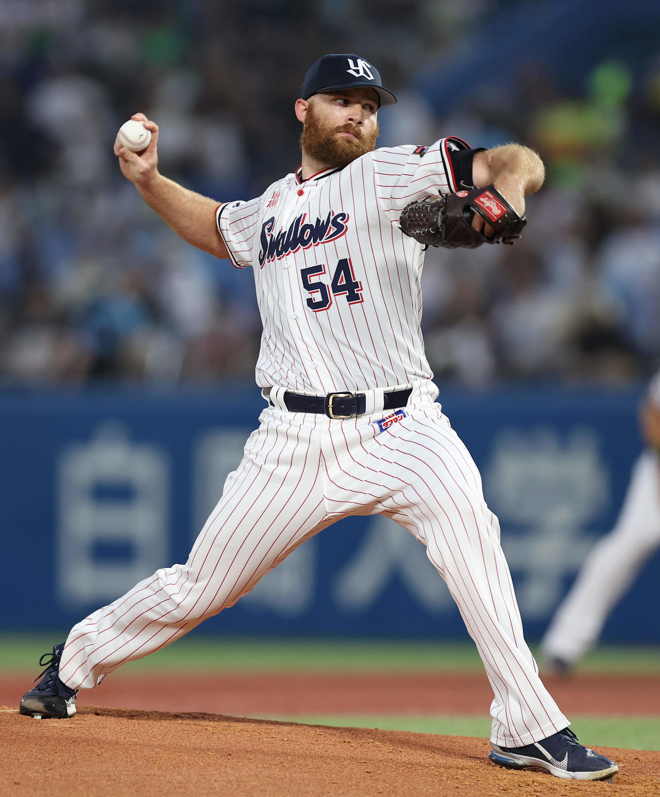 ヤクルトのサイスニード（2024年9月6日撮影）