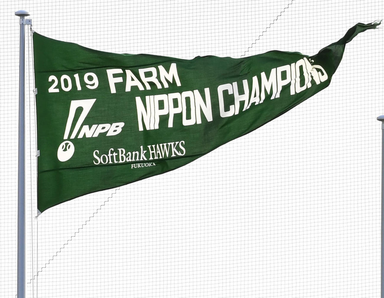 ファーム日本選手権のチャンピオンフラッグ（写真は2019年のもの）