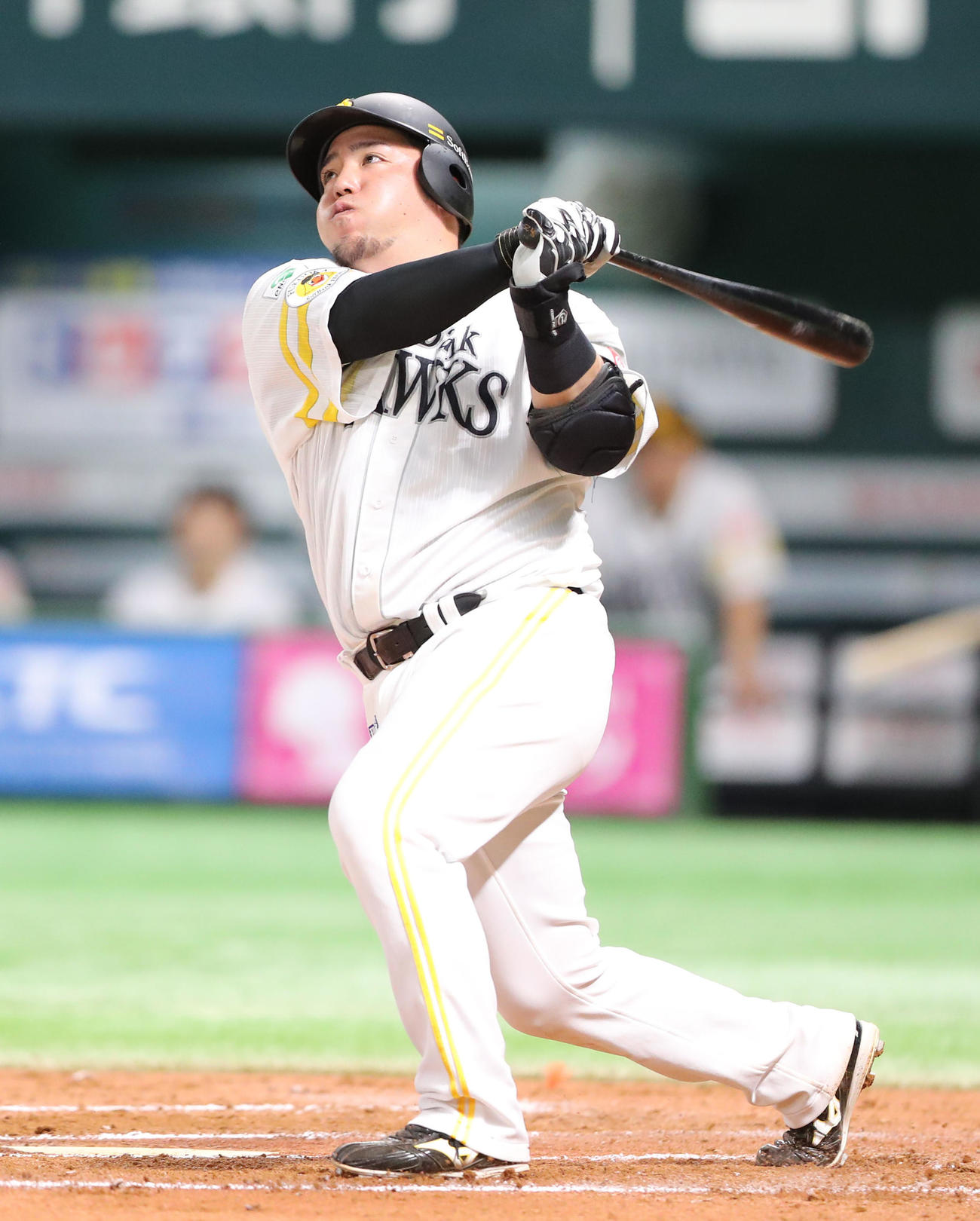 山川穂高(2024年9月21日撮影)