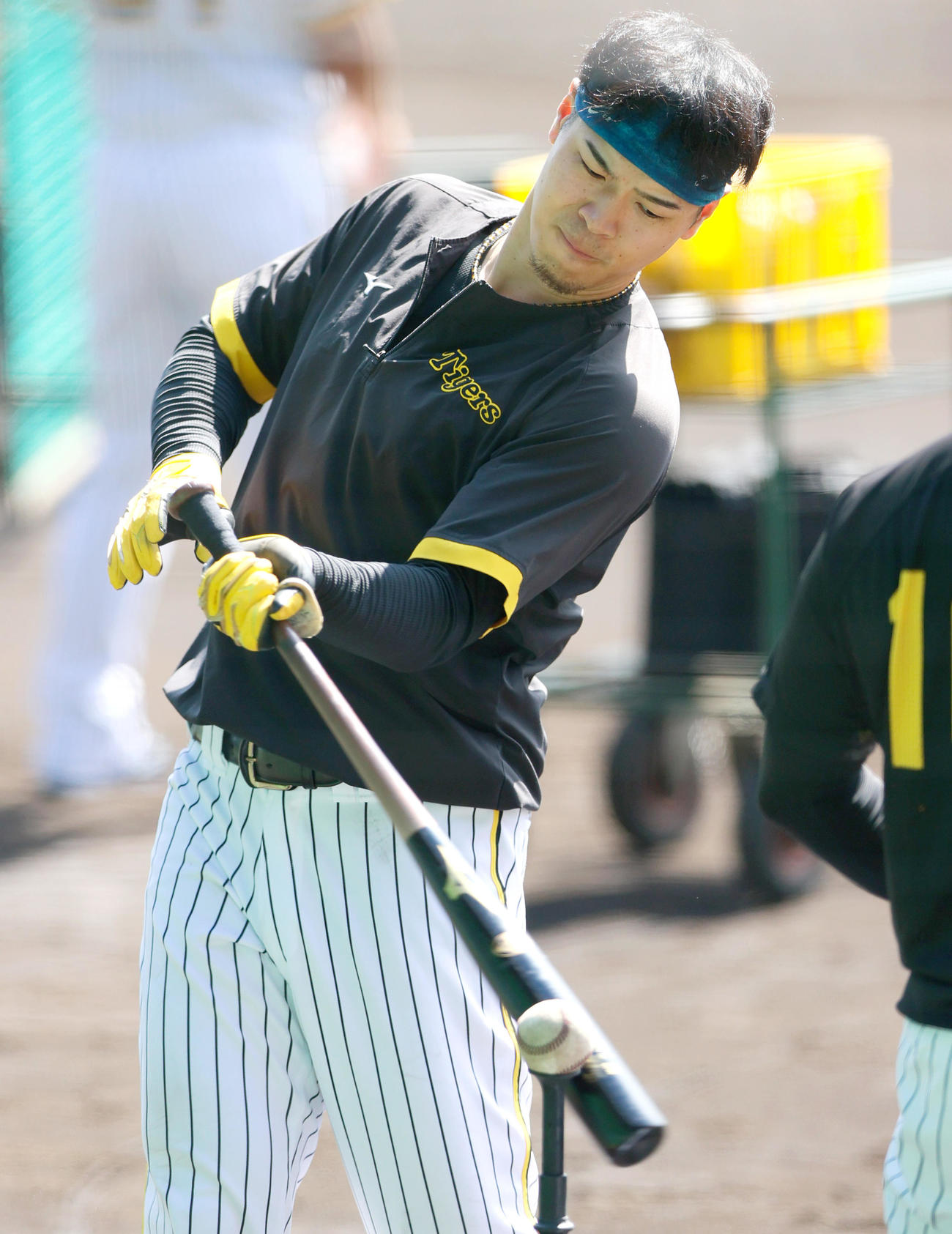甲子園球場でティー打撃する阪神佐藤輝（撮影・上山淳一）