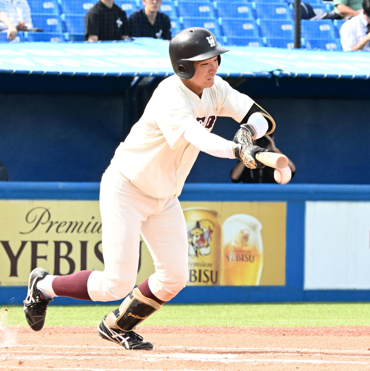 東京6大学野球秋季リーグ戦　立大対早大　6回裏早大1死一、二塁　山県秀が投前にバントを決める（撮影・千葉一成）