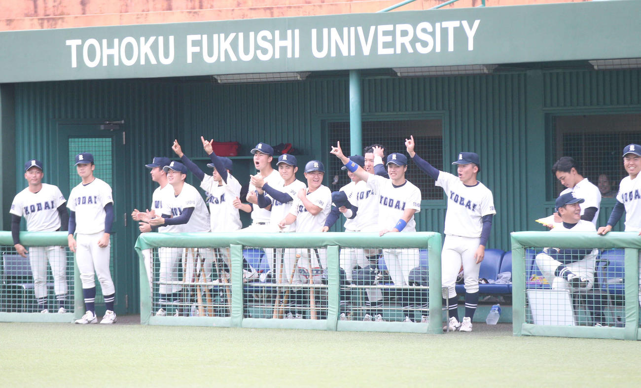 勝利まで1アウト、ベンチで盛り上がる東北工業大の選手ら（撮影・高橋香奈）