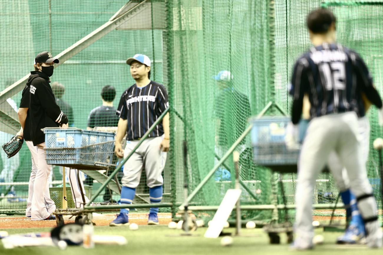 楽天対日本ハム　試合前、室内練習を見守る日本ハム新庄監督（左）（撮影・河田真司）