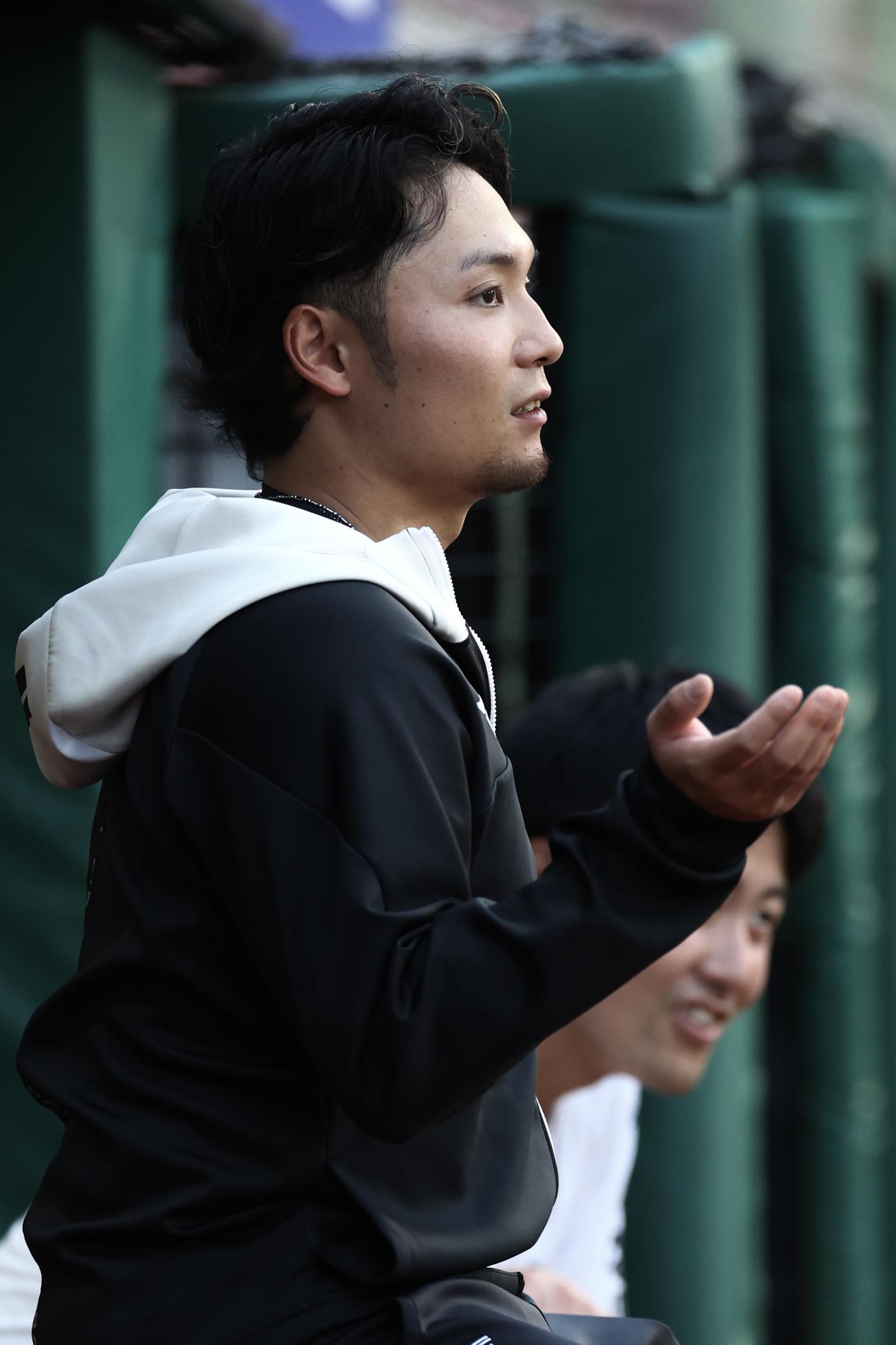 楽天対日本ハム　試合前、グラウンドの様子を見る日本ハム伊藤（撮影・河田真司）