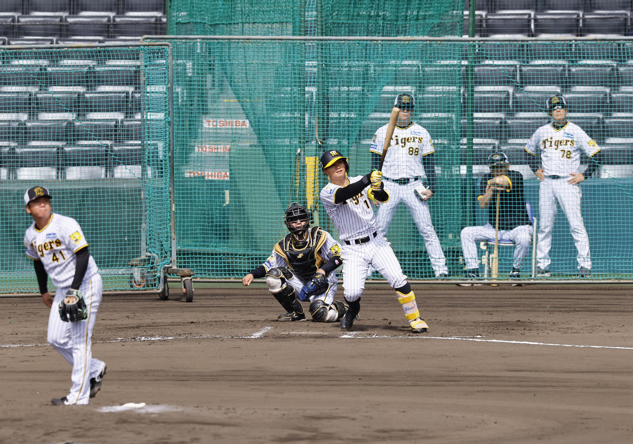 シート打撃で村上から安打を放つ阪神森下。後方は左から安藤コーチ、岡田監督、平田ヘッドコーチ（撮影・藤尾明華）