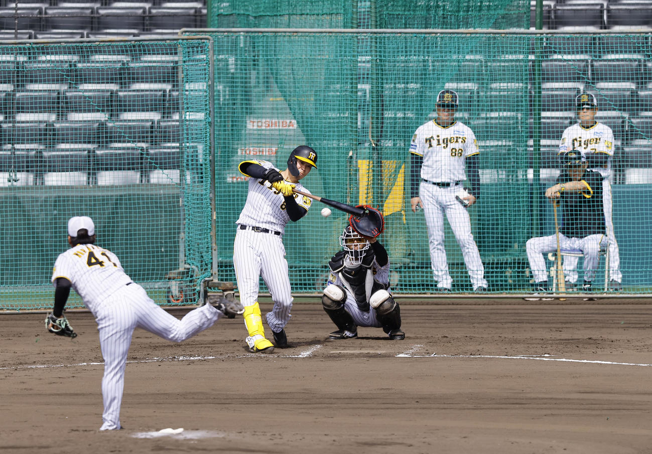 シート打撃で村上から安打を放つ佐藤輝。奥右手前は岡田監督（撮影・藤尾明華）