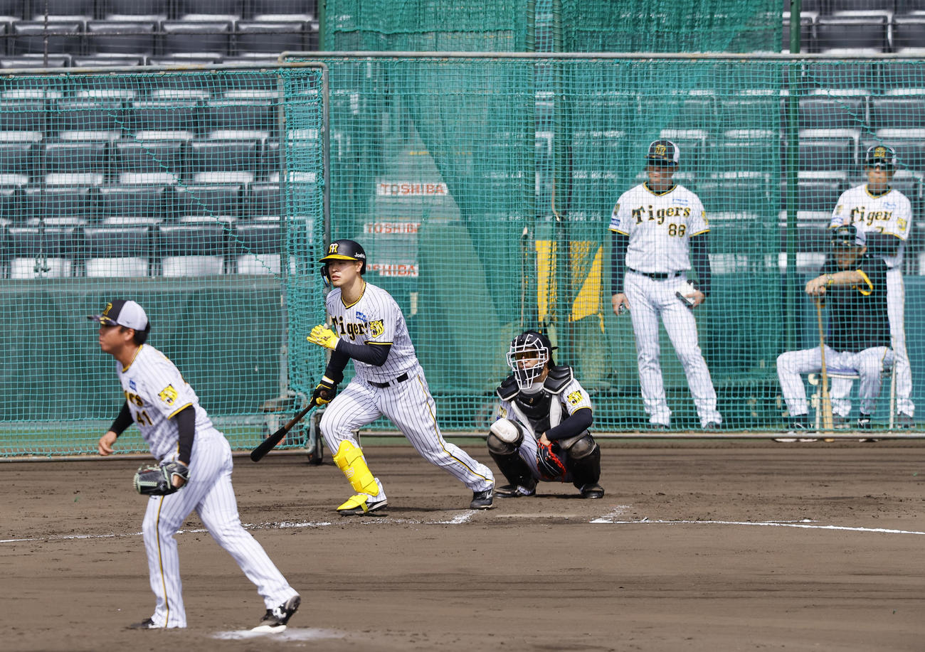 シート打撃で村上から安打を放つ佐藤輝。奥右手前は岡田監督（撮影・藤尾明華）