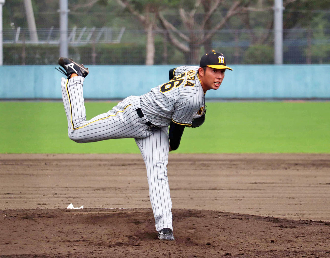 みやざきフェニックスリーグの巨人戦で2番手として登板した阪神椎葉剛投手