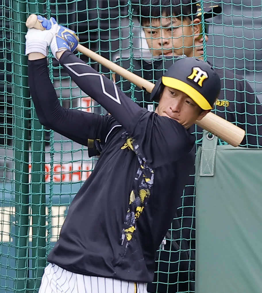 打撃練習をする阪神近本（撮影・藤尾明華）