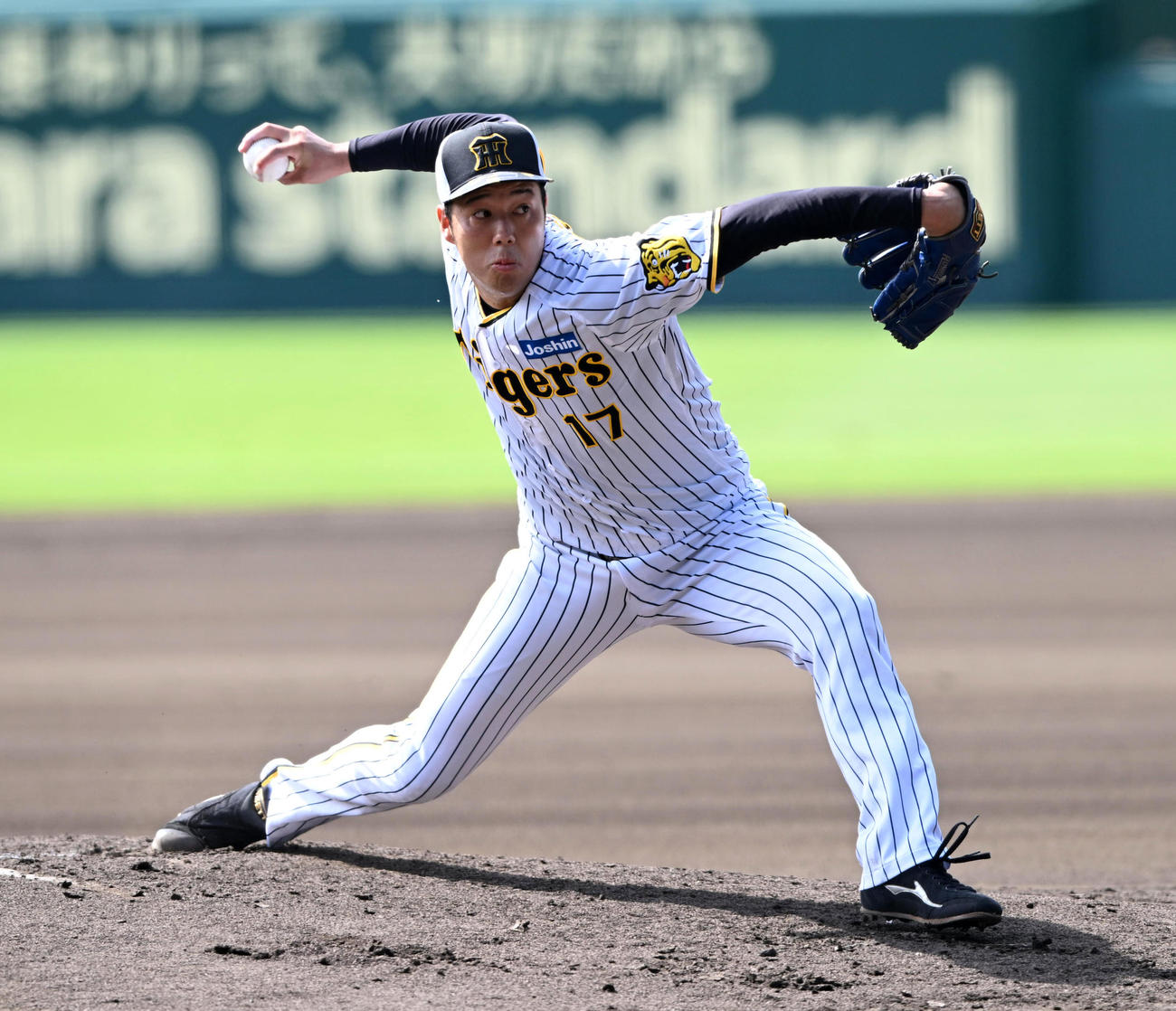 シート打撃で投球する青柳（撮影・前岡正明）