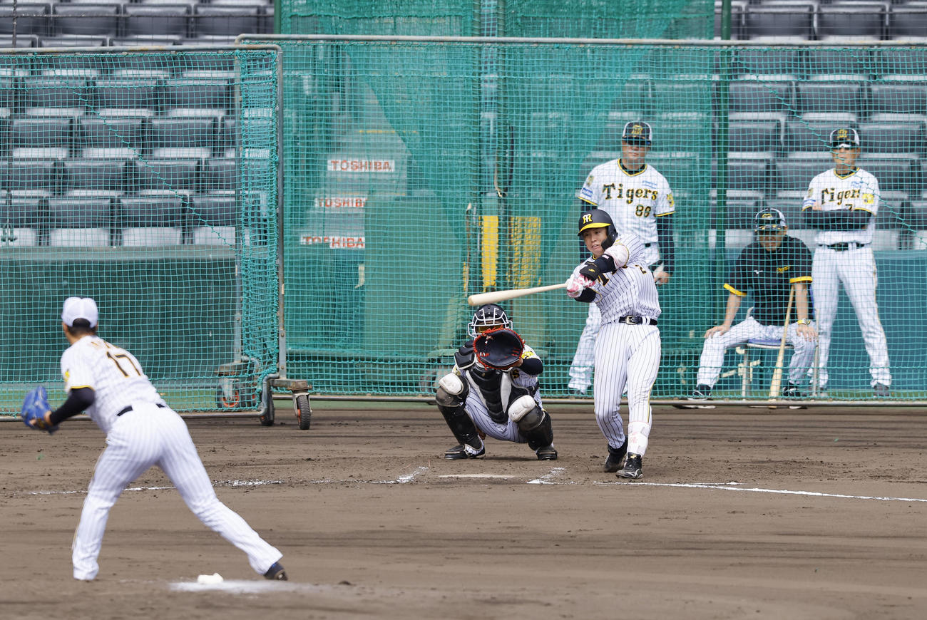 シート打撃で青柳晃洋から安打を放つ阪神梅野隆太郎。奥右から2人目は岡田監督（撮影・藤尾明華）