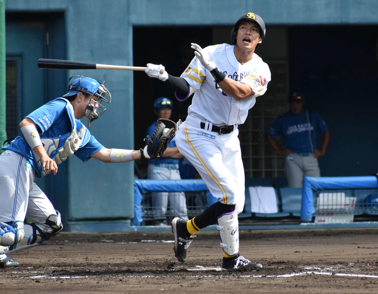 フェニックス・リーグ日本ハム戦　1回、空振り三振に倒れたソフトバンク柳田（撮影・只松憲）