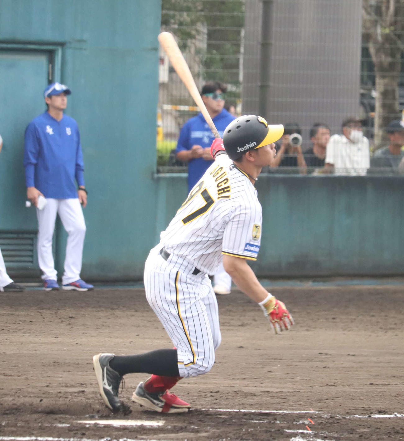 韓国サムスン戦で3安打を放った阪神野口（撮影・波部俊之介）
