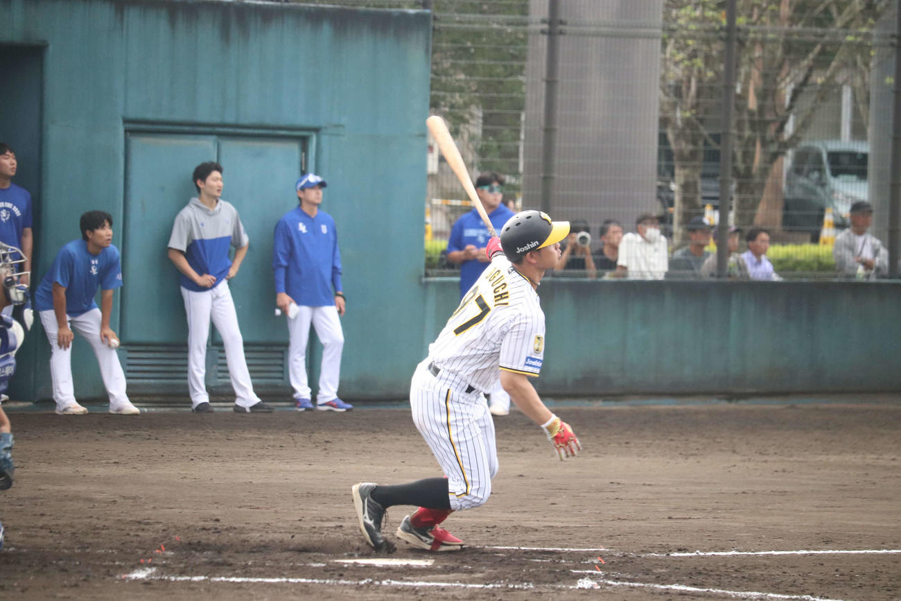 みやざきフェニックスリーグの韓国サムスン戦で3安打を放った野口恭佑外野手