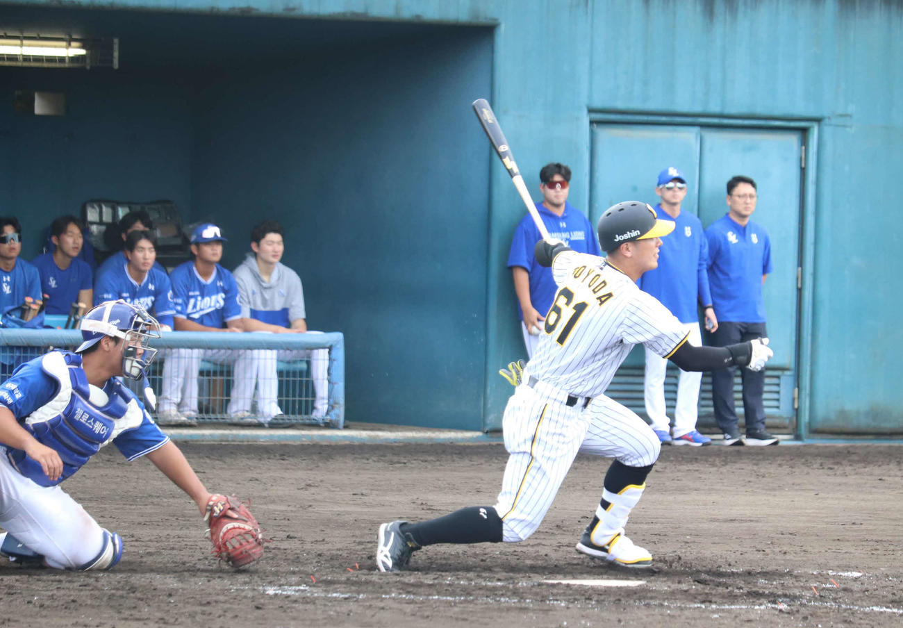 韓国サムスン戦で3安打を放った阪神豊田（撮影・波部俊之介）