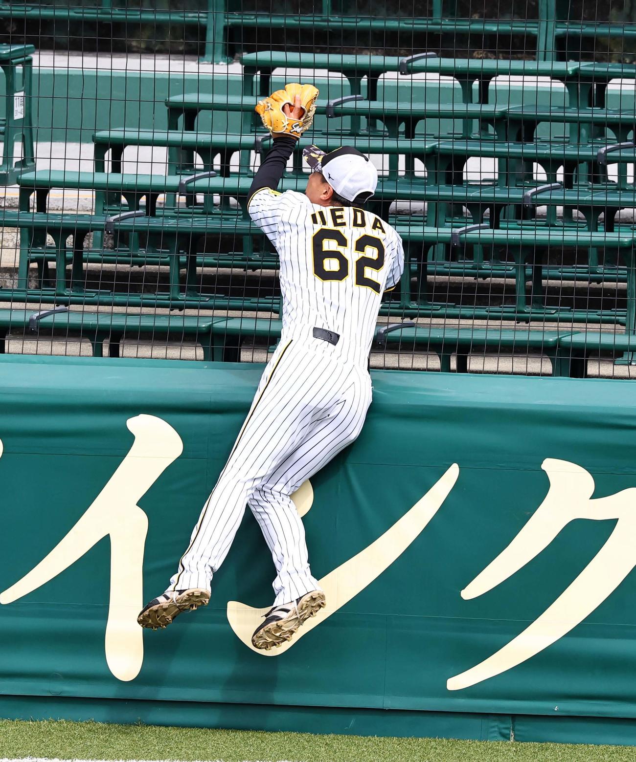 シート打撃で糸原の飛球を追う植田はフェンスに激突し1回転する（撮影・上田博志）