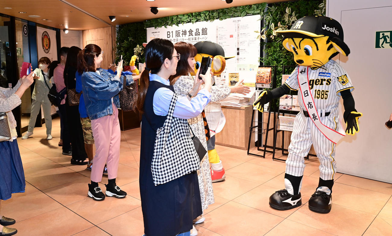 阪神百貨店で「阪神タイガース　応援セール」が開催されお客を招き入れるトラッキー（右）ら（撮影・和賀正仁）