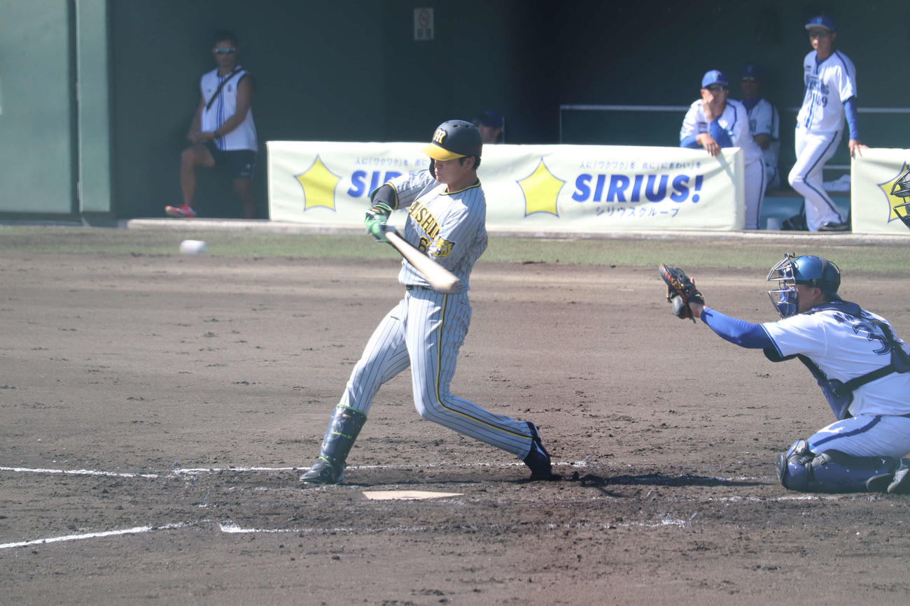 みやざきフェニックスリーグのDeNA戦で2安打を放った阪神高寺望夢内野手