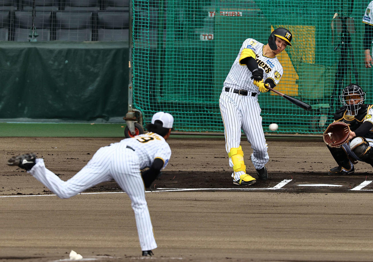 シート打撃で一ゴロに倒れる佐藤輝。投手は高橋（撮影・上田博志）