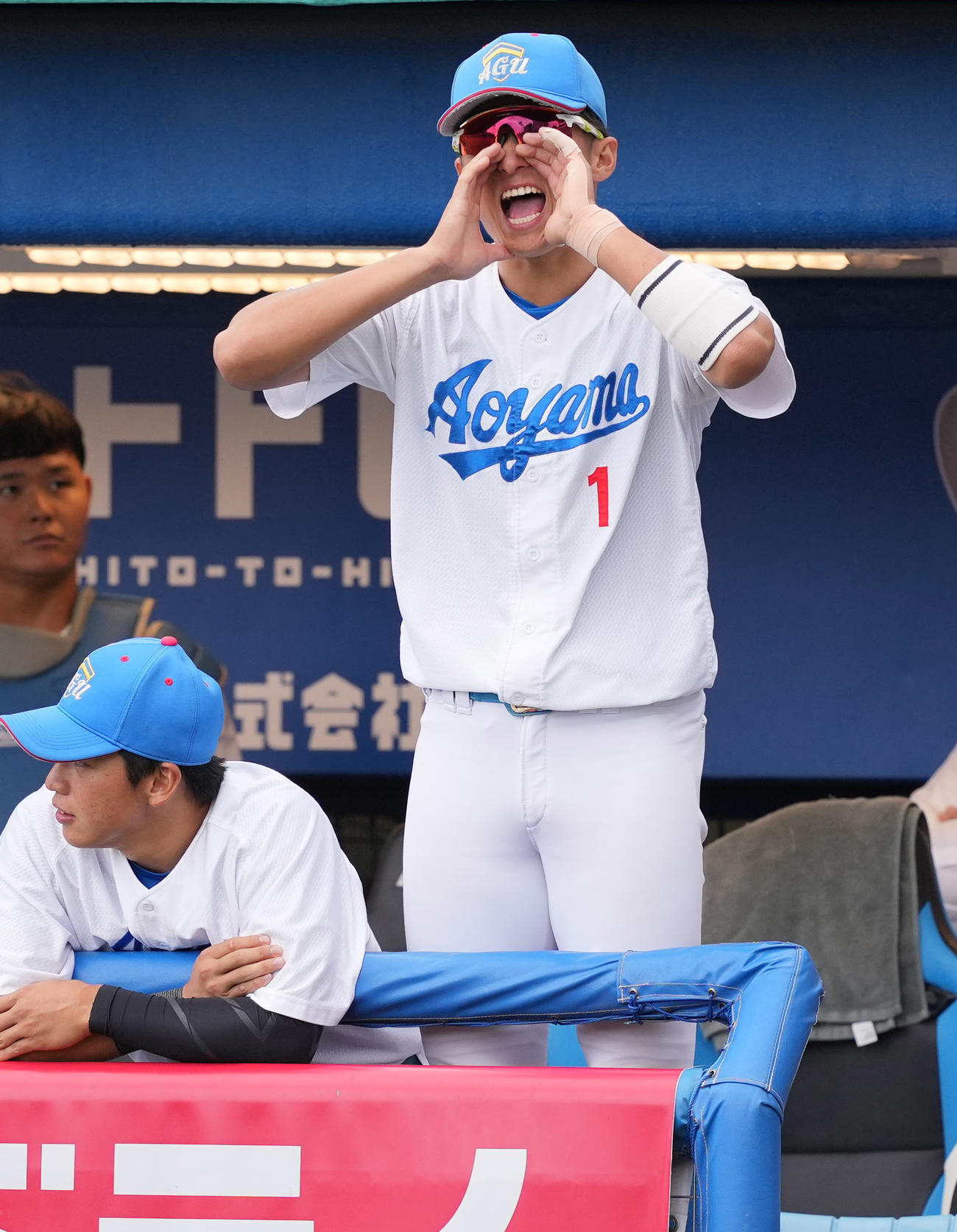 亜大対青学大　ベンチでナインを鼓舞する青学大・佐々木（右）（撮影・鈴木みどり）