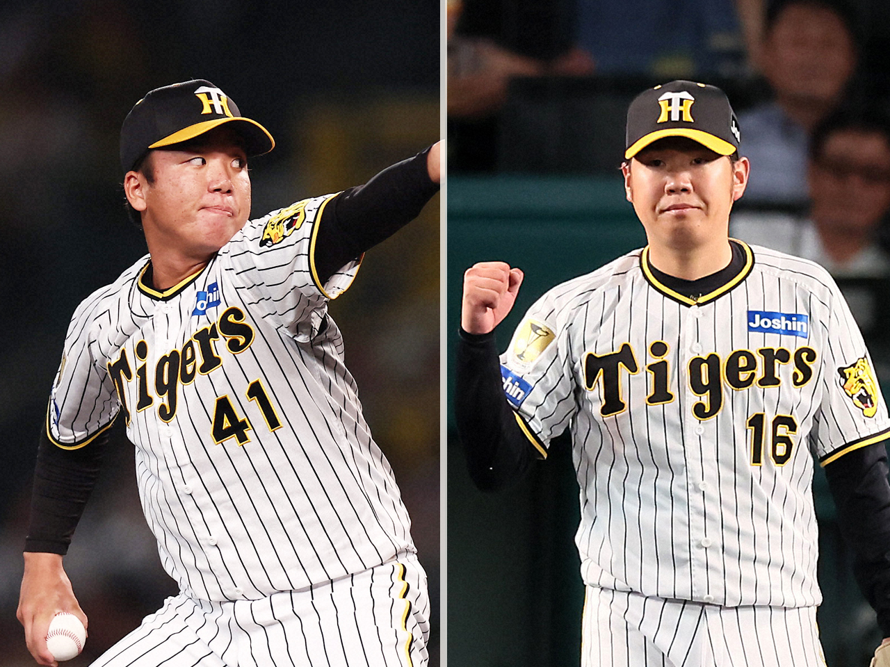 阪神村上頌樹（左）と西勇輝