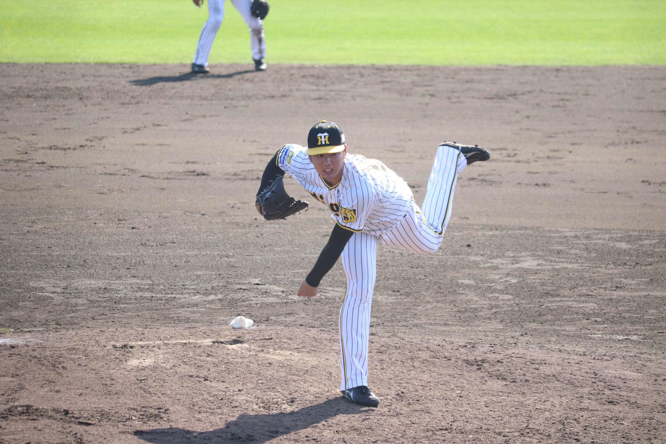 みやざきフェニックスリーグの日本独立リーグ野球機構選抜戦で登板した阪神川原陸