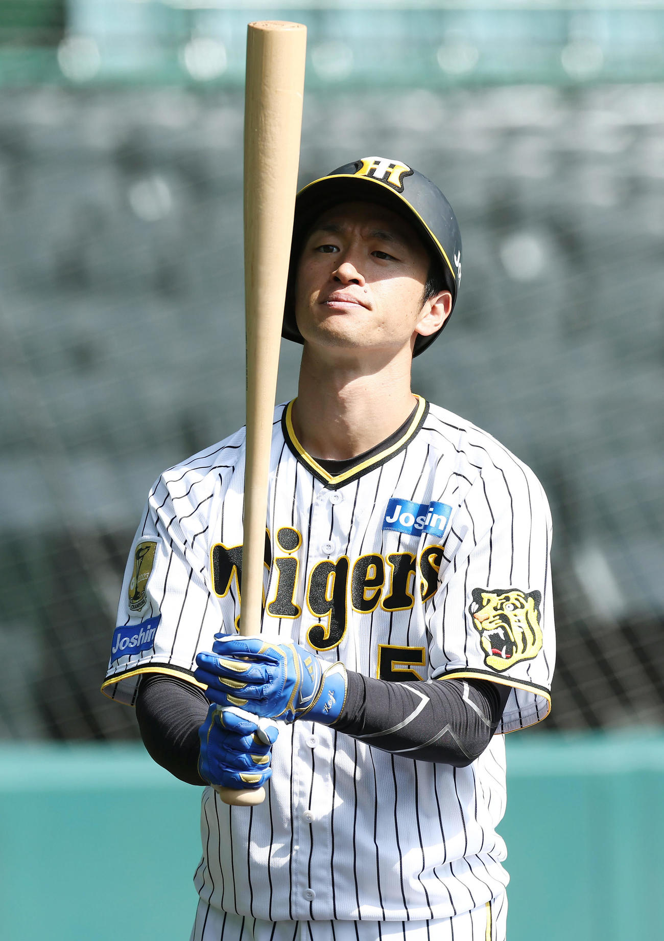 打撃練習に臨む阪神近本（撮影・前田充）